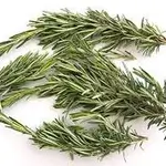 Rosemary